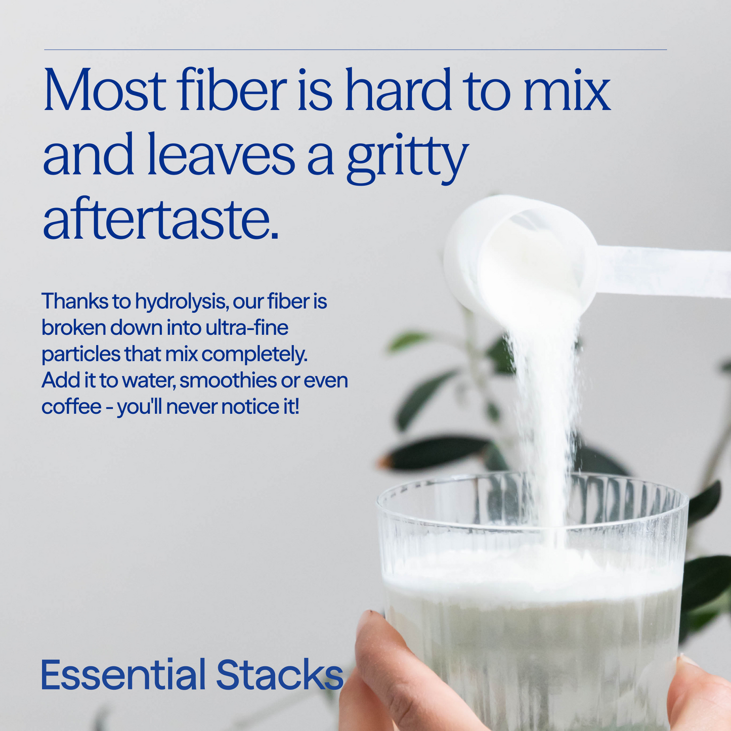 Sunfiber & Acacia Fiber